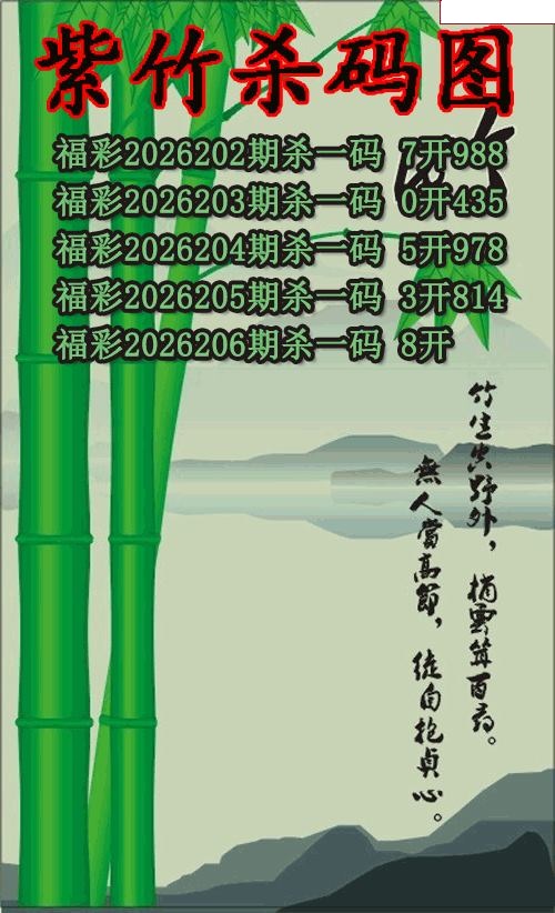 紫竹杀码