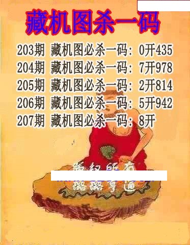 藏机图杀码