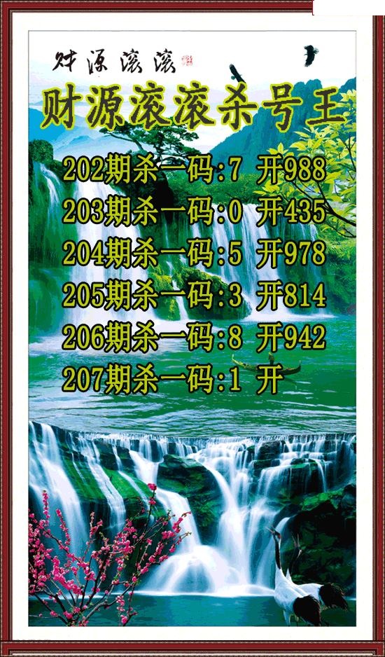 财源滚滚杀号王