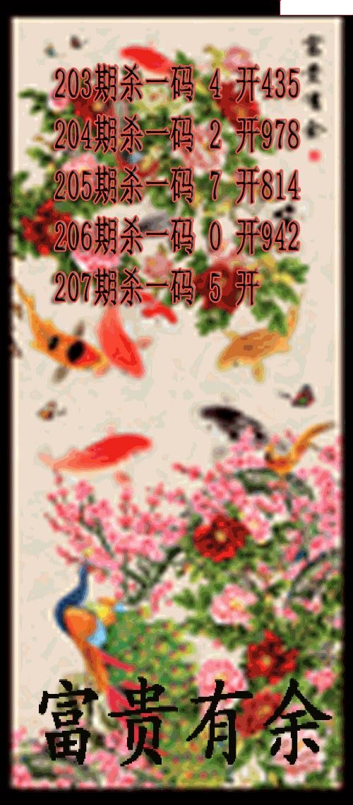 富贵有余杀码