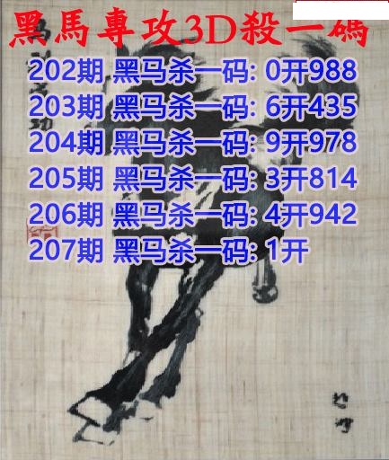 黑马杀码