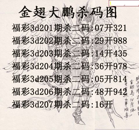 金翅大鹏杀码