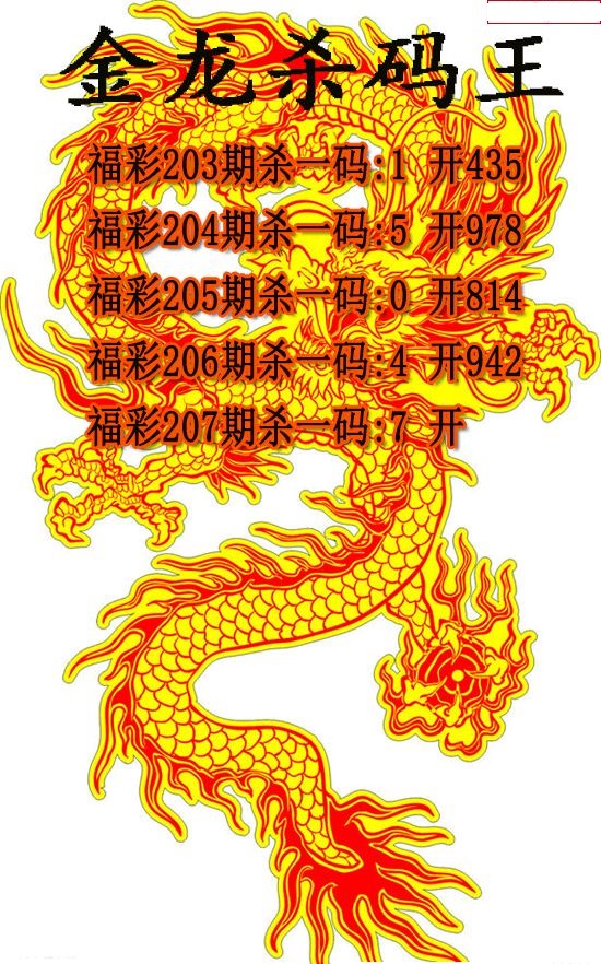 金龙杀码王