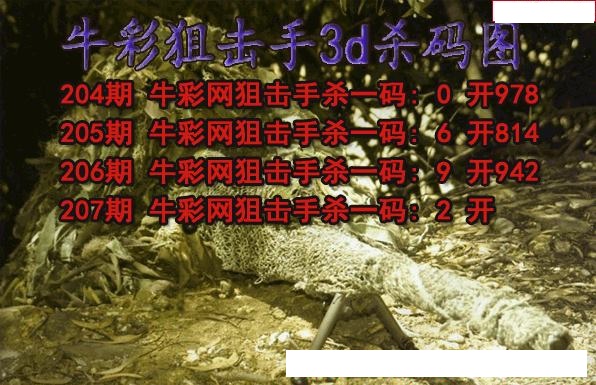 牛彩狙击手杀码