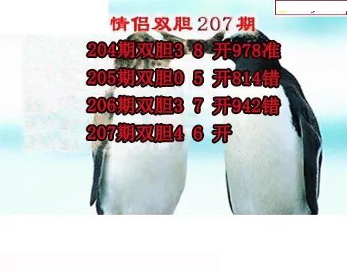 情侣双胆