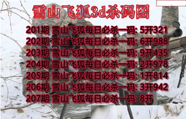 雪山飞狐杀码