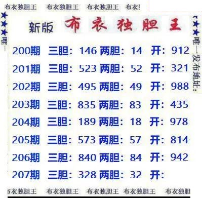 新版布衣独胆王