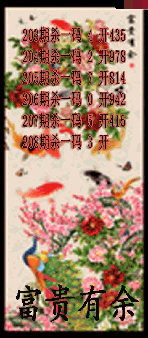 富贵有余杀码