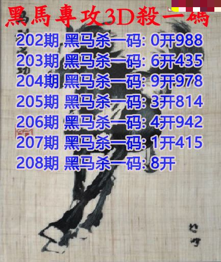黑马杀码