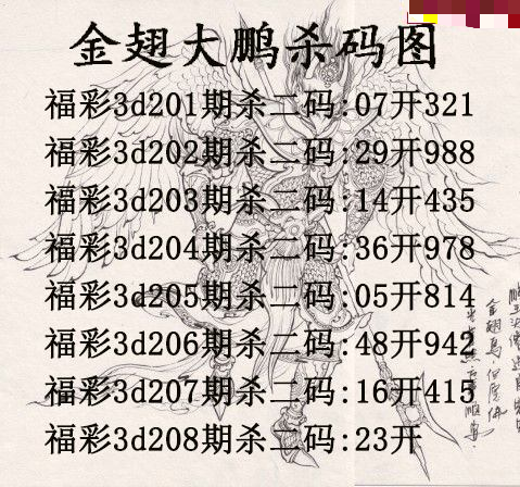 金翅大鹏杀码