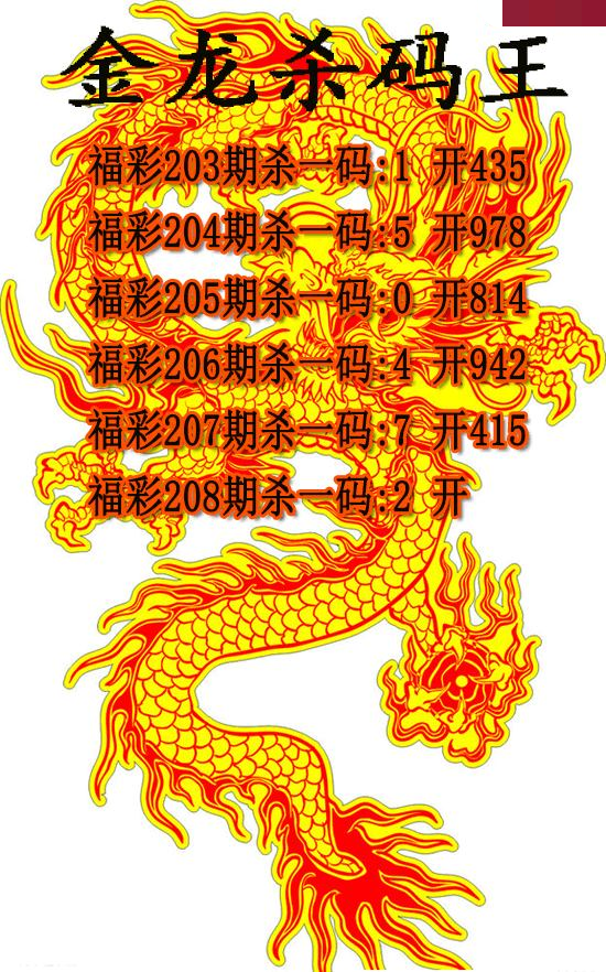 金龙杀码王