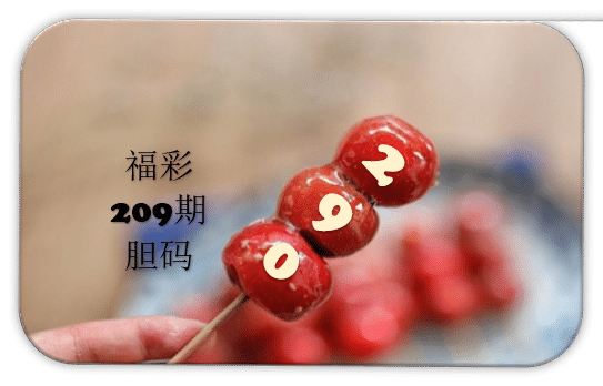 串串胆码图