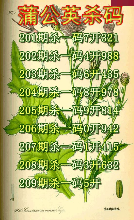 蒲公英杀码
