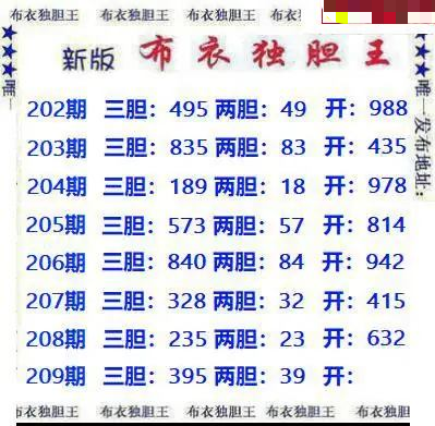 新版布衣独胆王