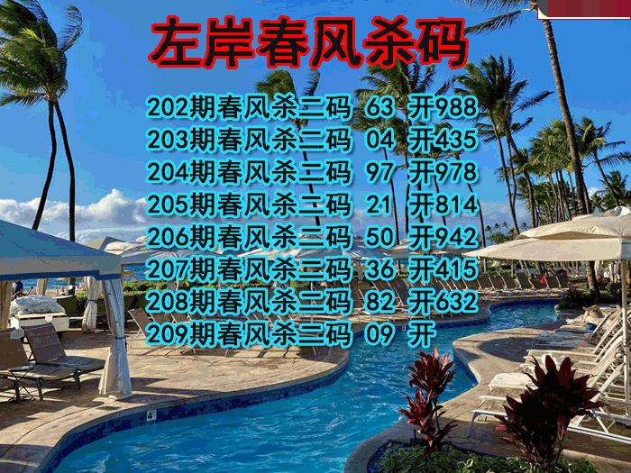 左岸春风杀码