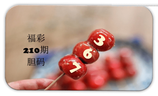 串串胆码图