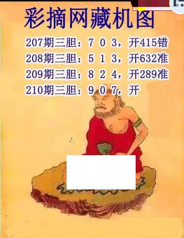 彩摘藏机图