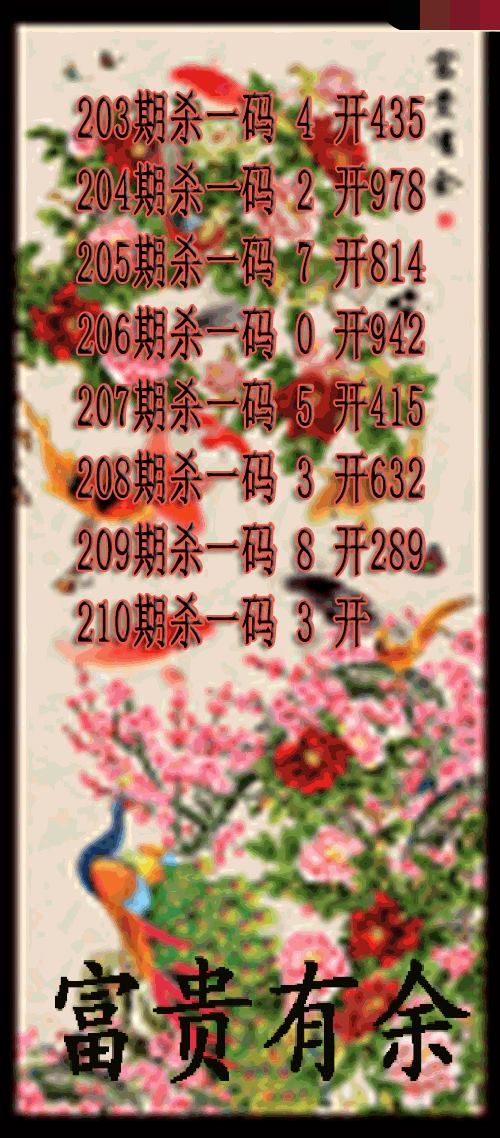 富贵有余杀码