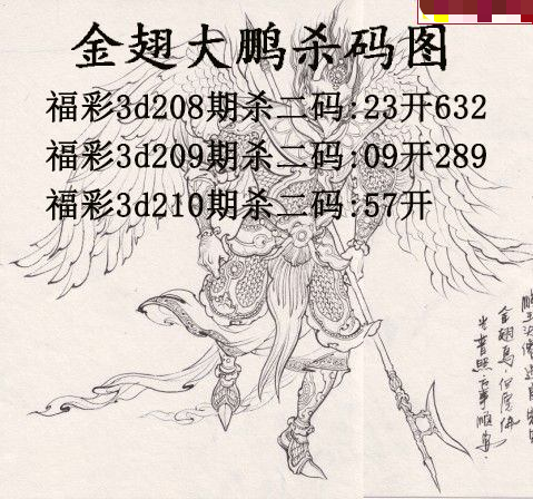 金翅大鹏杀码