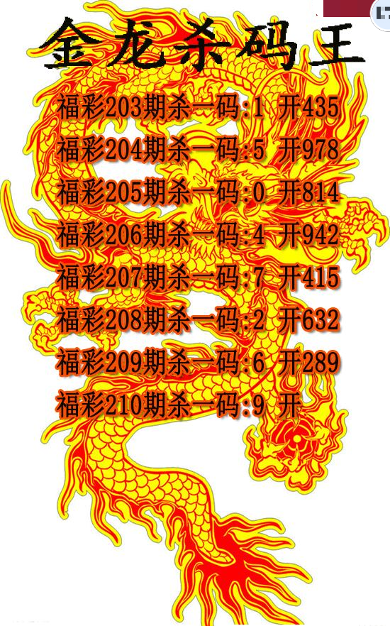金龙杀码王