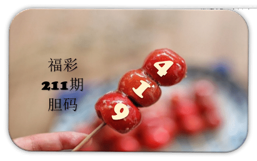 串串胆码图