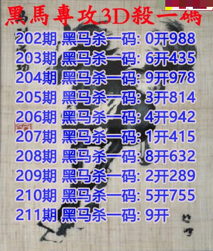 黑衣人杀码