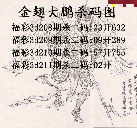 金翅大鹏杀码