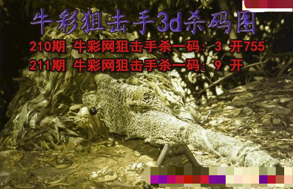 牛彩狙击手杀码