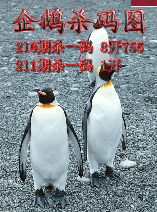企鹅杀码