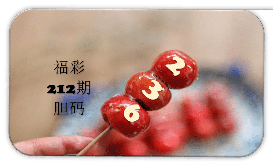 串串胆码图