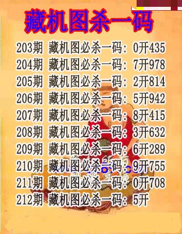 藏机图杀码