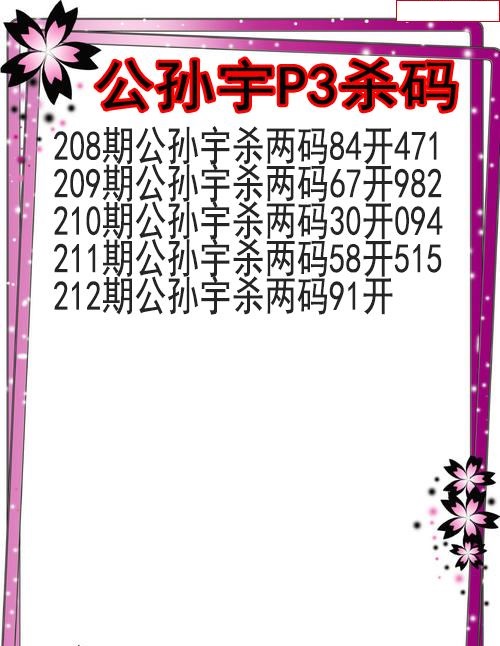 公孙宇杀码图