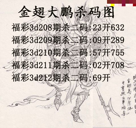 金翅大鹏杀码