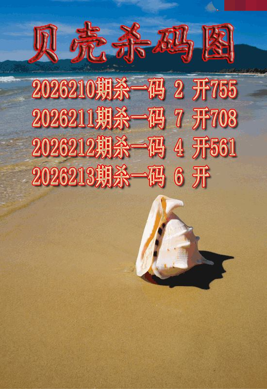 贝壳杀码