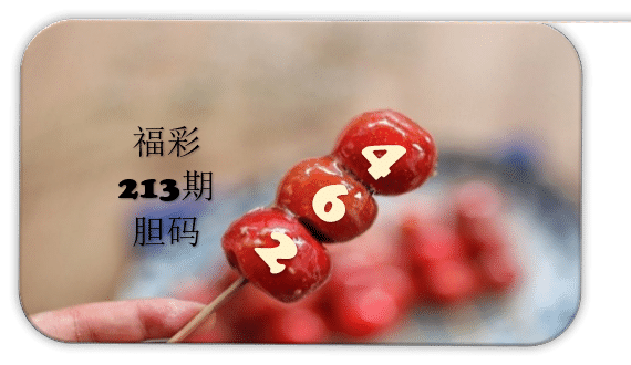 串串胆码图