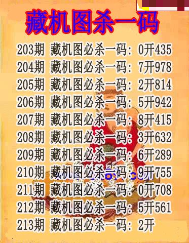 藏机图杀码