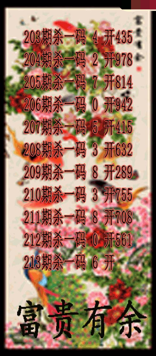富贵有余杀码
