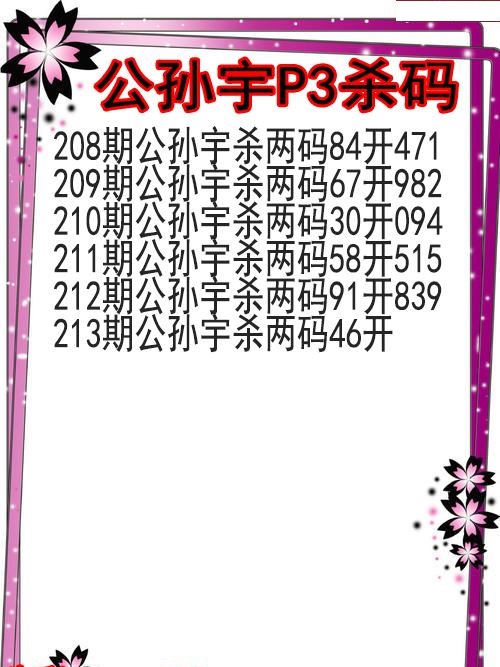 公孙宇杀码图