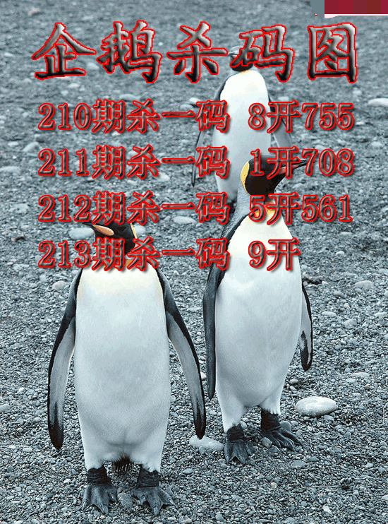 企鹅杀码
