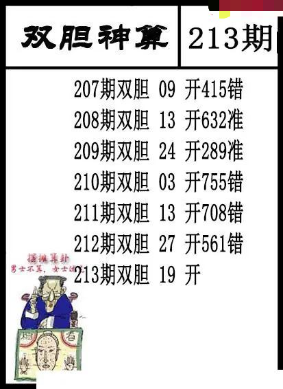 双胆神算