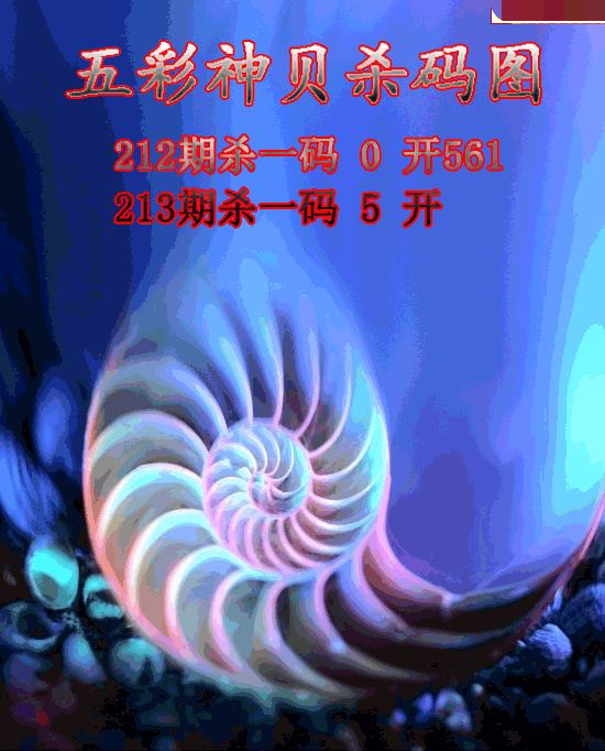 五彩神贝杀码