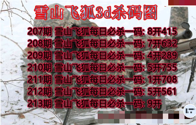 雪山飞狐杀码