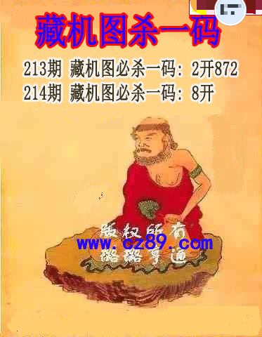 藏机图杀码