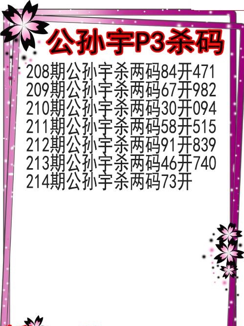 公孙宇杀码图