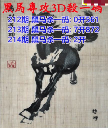 黑马杀码