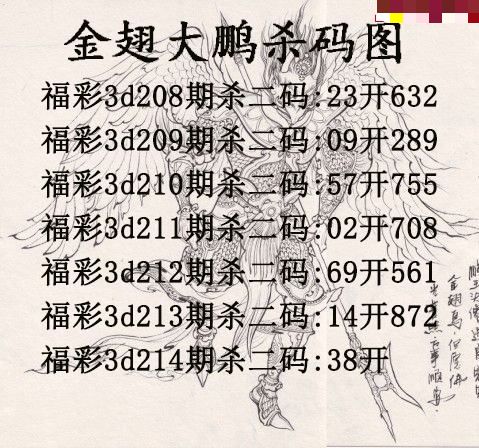 金翅大鹏杀码