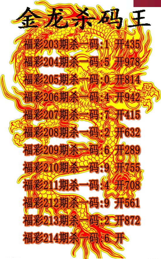 金龙杀码王