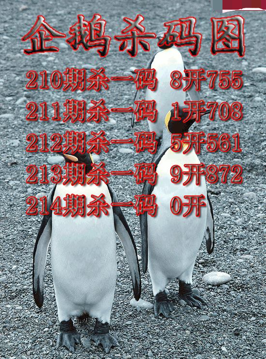 企鹅杀码