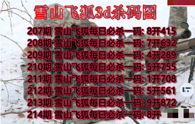 雪山飞狐杀码