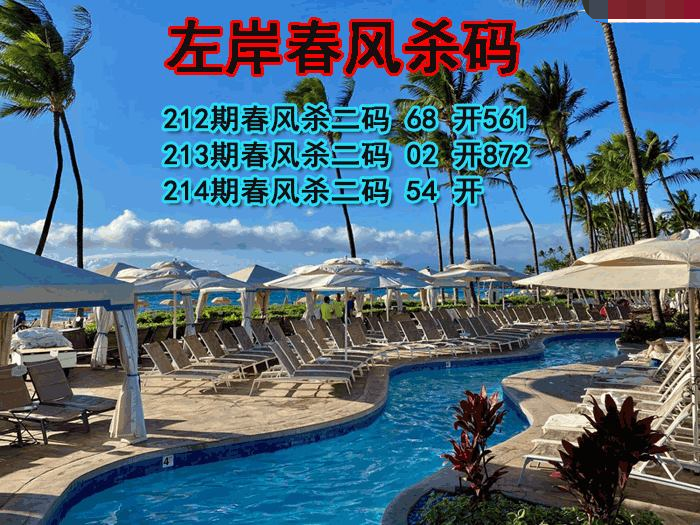 左岸春风杀码